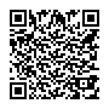 QR Code pour le numéro de téléphone +862138300908