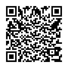 Codice QR per il numero di telefono +862138379017
