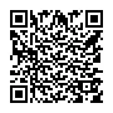 Codice QR per il numero di telefono +865375043441