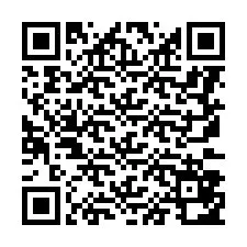 Código QR para número de teléfono +8657385260025