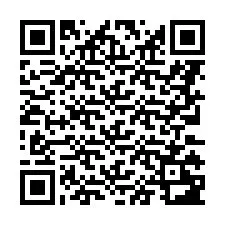 QR-kod för telefonnummer +8673128315969