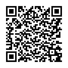 Código QR para número de teléfono +8673128504178