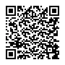 QR-Code für Telefonnummer +8673188666387