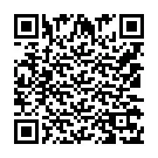 Codice QR per il numero di telefono +905313719871