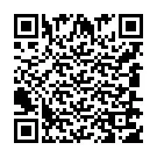 QR Code pour le numéro de téléphone +918067029100