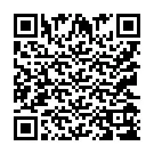 QR Code pour le numéro de téléphone +9512018389