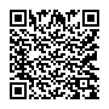 QR Code pour le numéro de téléphone +9512038039