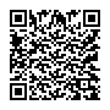 Codice QR per il numero di telefono +9512038128