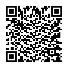 Codice QR per il numero di telefono +9512038199