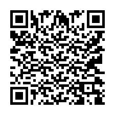 QR Code pour le numéro de téléphone +9512038803