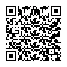 Codice QR per il numero di telefono +9512039868