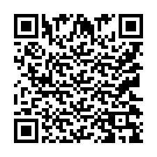 QR Code pour le numéro de téléphone +9512039911