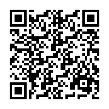 QR Code pour le numéro de téléphone +9512040060