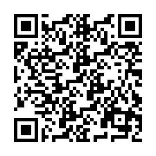 QR Code pour le numéro de téléphone +9512040210