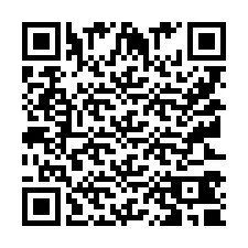 电话号码二维码 +9512340900