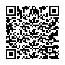 Codice QR per il numero di telefono +9512379317