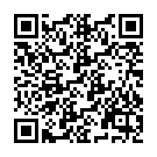 QR Code pour le numéro de téléphone +9512498728