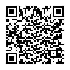 Telefon numarası için QR Kodu +9512502484