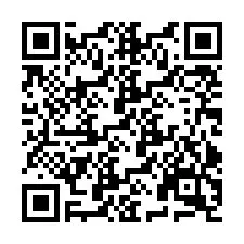 QR Code pour le numéro de téléphone +9512913041