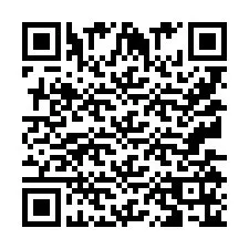 QR-code voor telefoonnummer +9513516565