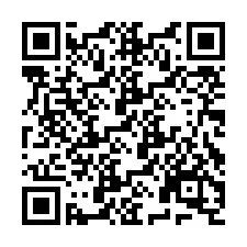 QR Code pour le numéro de téléphone +9513617167