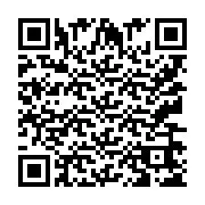 QR Code pour le numéro de téléphone +9513665209