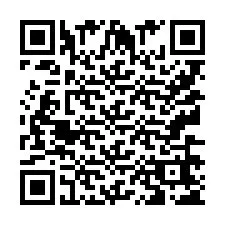 QR Code pour le numéro de téléphone +9513665245