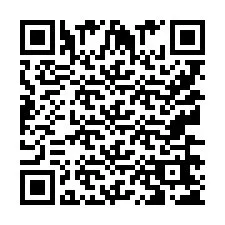 QR Code pour le numéro de téléphone +9513665247