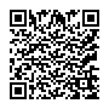 QR Code pour le numéro de téléphone +9513665251