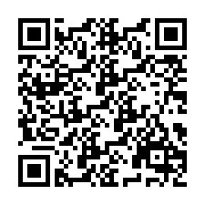 QR-code voor telefoonnummer +9514228762