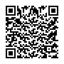 QR Code pour le numéro de téléphone +9518173519