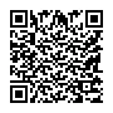 QR Code pour le numéro de téléphone +9518173535