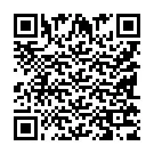 QR Code pour le numéro de téléphone +9518173866