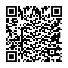 QR-Code für Telefonnummer +9518173937