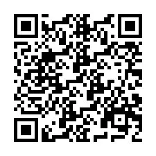 QR Code pour le numéro de téléphone +9518174067