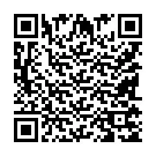 電話番号のQRコード +9518175137