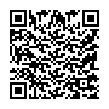 QR Code pour le numéro de téléphone +9518177591