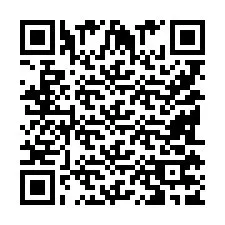 電話番号のQRコード +9518177937