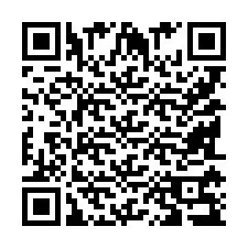 QR-Code für Telefonnummer +9518179307