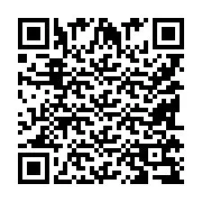Codice QR per il numero di telefono +9518179767