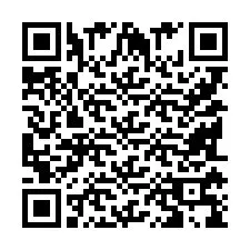 QR Code pour le numéro de téléphone +9518179817