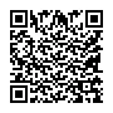 QR Code pour le numéro de téléphone +9518179943