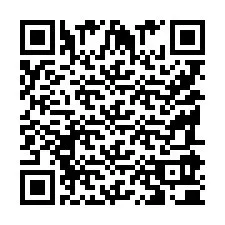 QR Code pour le numéro de téléphone +9518590080