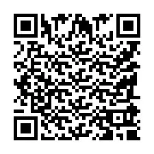 QR-Code für Telefonnummer +9518590904