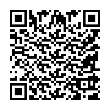 QR-Code für Telefonnummer +9518591687