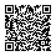 QR-Code für Telefonnummer +9518591969