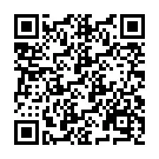 QR-Code für Telefonnummer +9519005265