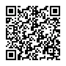 QR Code pour le numéro de téléphone +9519007668