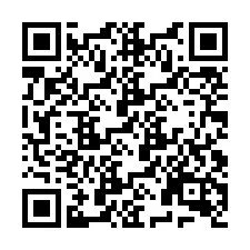 Codice QR per il numero di telefono +9519009101