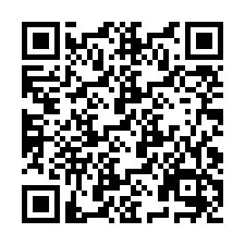 QR Code pour le numéro de téléphone +9519009678